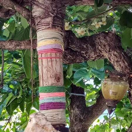 منزل ريفي Chao De Castro