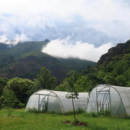 Chao De Castro * Riodeporcos