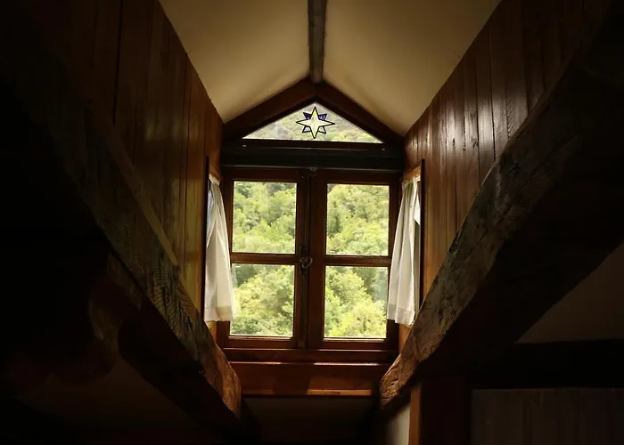 Chao De Castro * Riodeporcos