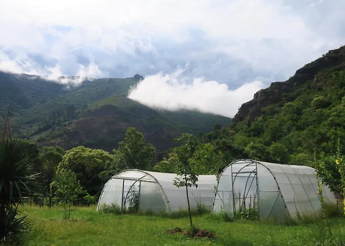 Chao De Castro * Riodeporcos